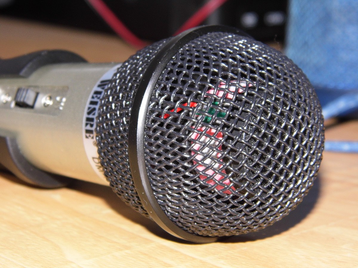 A_dynamic_XLR_microphone_-_WEISRE_DM-701