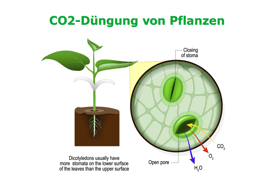 CO2-Duenger.png