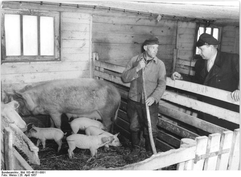 Die Situation der Bauern – eine Mikro-Perspektive aus Oberösterreich