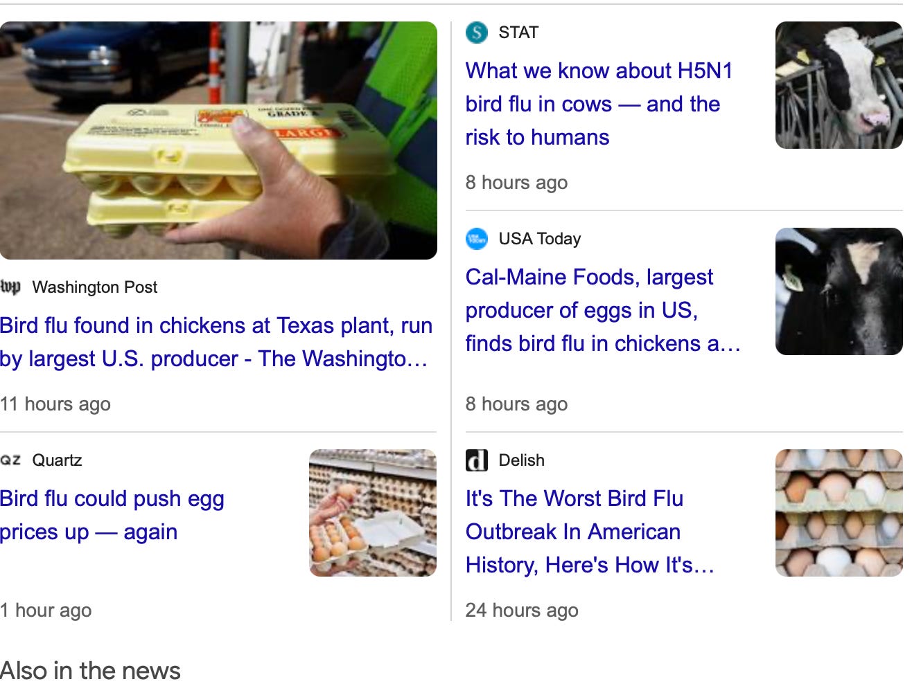 Neue Vogelgrippe-Panik in USA