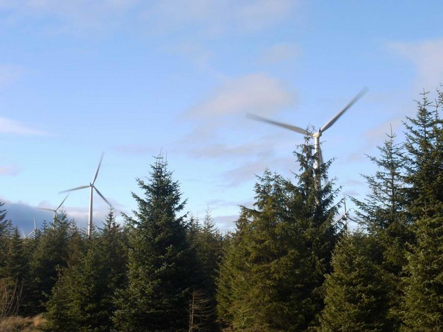 Studie weist nach: Massive Waldschäden durch Windparks