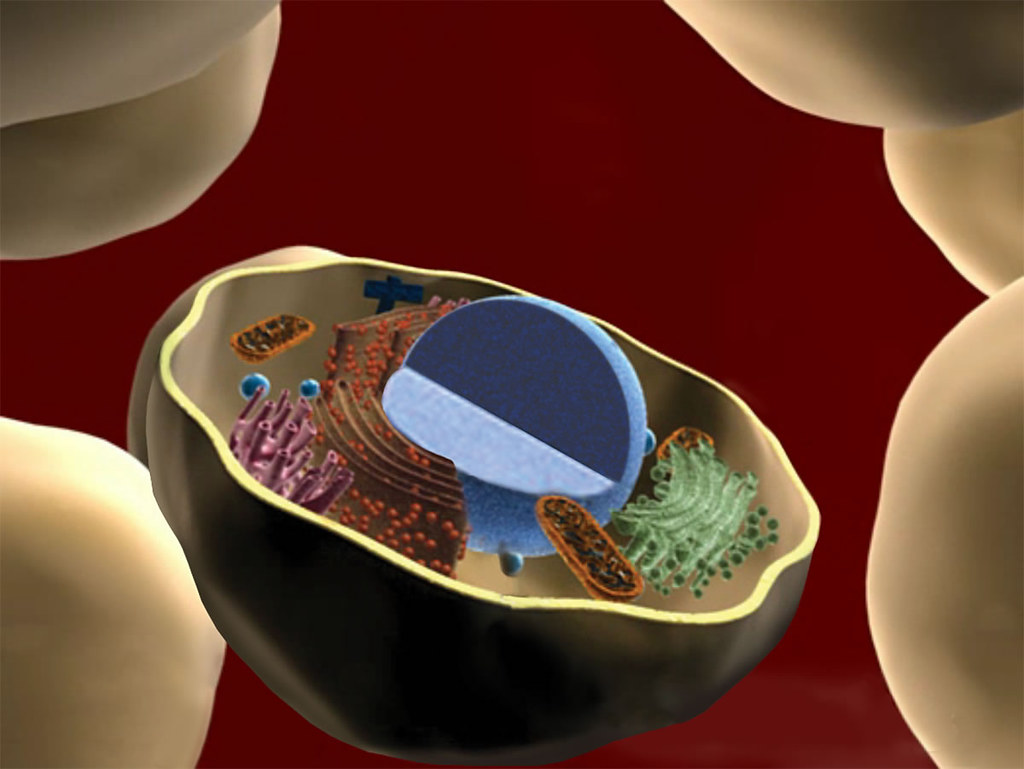 Deutsche Untersuchung: mRNA verändert Genetik des Menschen
