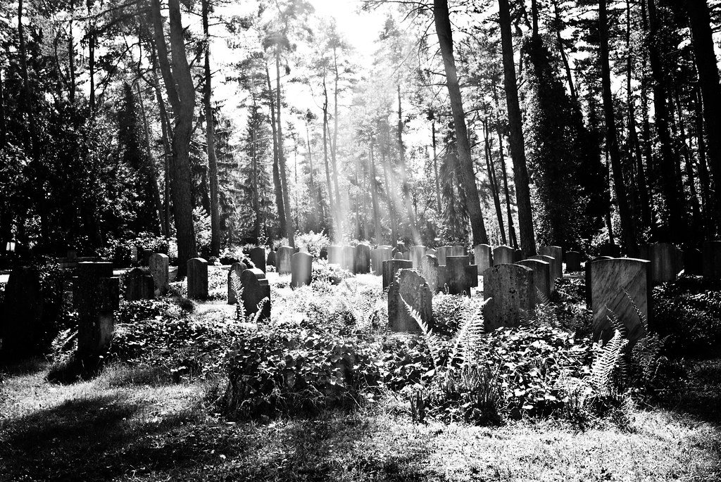 Auch 2024 Rekordübersterblichkeit in Deutschland