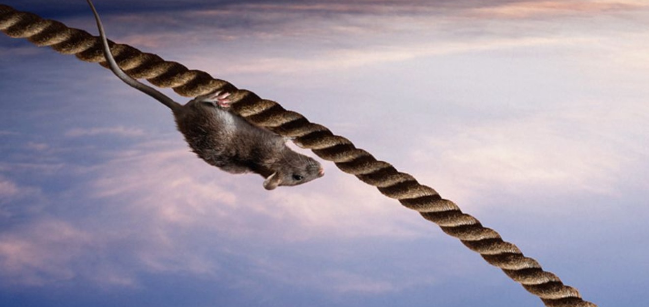 Umdenken der US-Oligarchen bezüglich China?