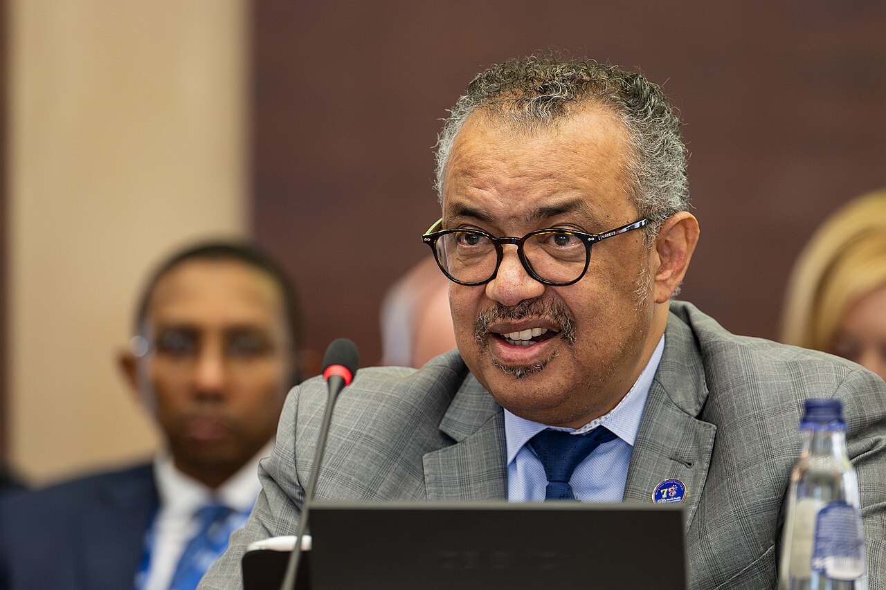 Von Covid zur Grippe: Wie die WHO die kommende Influenza-Pandemie steuern wird