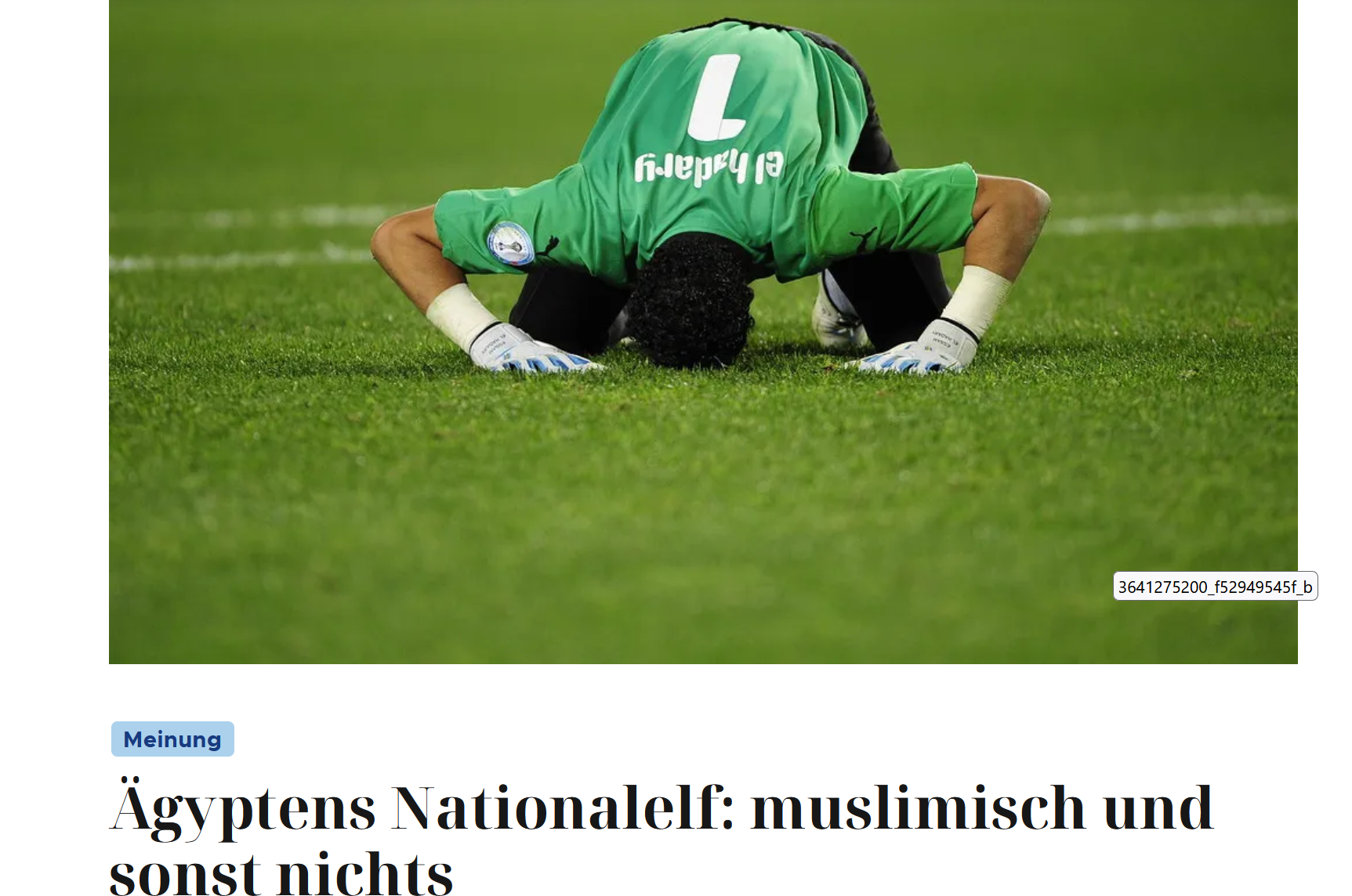 AEGYPTEN-MUSLIMISCH-SONST-NIX.png